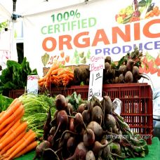 Thực phẩm hữu cơ (Organic) là gì? Chúng khác gì với thực phẩm thường ?